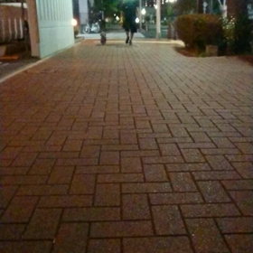 うまうま前散歩(笑)の画像