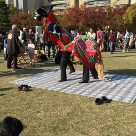 獅子舞の画像
