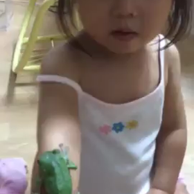 カエルの画像