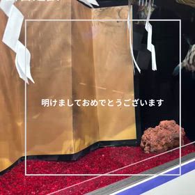 新年の画像