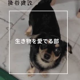 生き物を愛でる部の画像