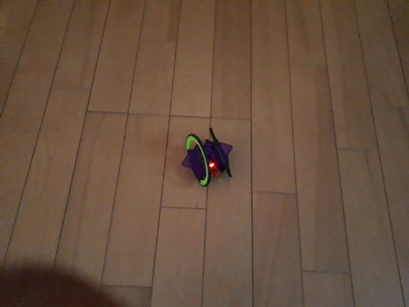 ヘックスバグ リングレーサーの記事動画