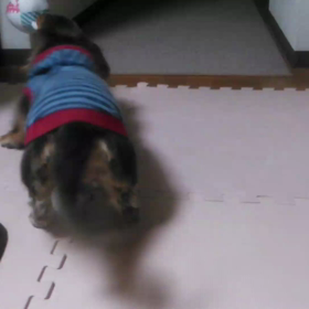 リアルタイムの画像