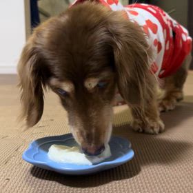 ヨーグルトTimeなれもん♡の画像