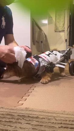 20歳4ヶ月のれもん♡の記事動画