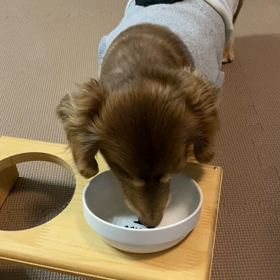 夜れもん♡の画像