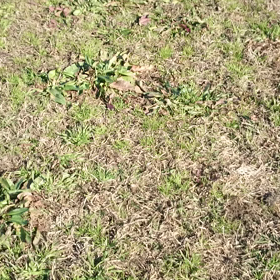 今日も、公園の画像