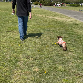 公園散歩♡の画像