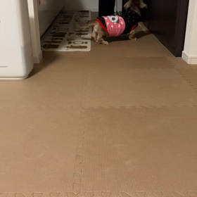 毎日の日課♡の画像