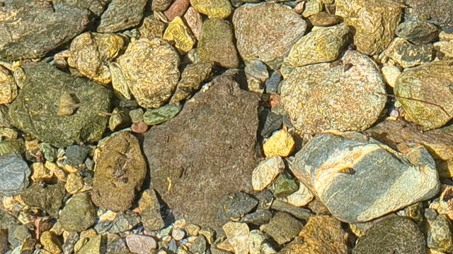 ふたりたび、ふたたび。①の記事動画