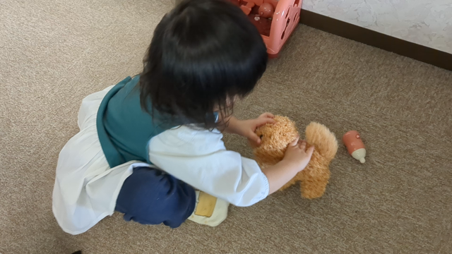 ゆったり前橋旅の記事動画