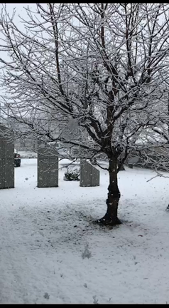 4月に雪！の記事動画