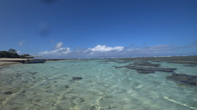 オーストラリア旅行記⑥グレートバリアリーフツアーの記事動画