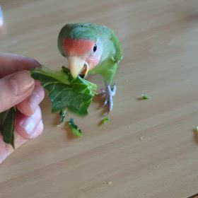 親バカ　見てくれます？(*^^*)の画像