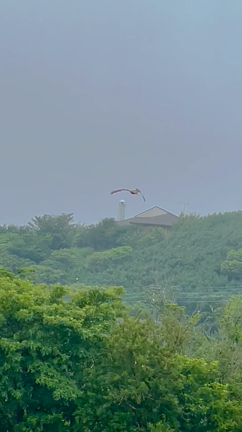 梅雨時期のゴルフの記事動画