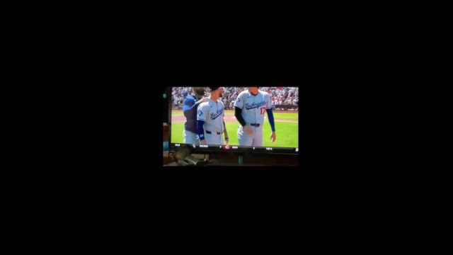 試合後の感想の記事動画
