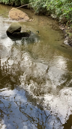 遠野　　河童淵の記事動画