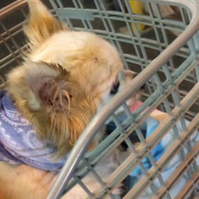 夜のサイクリングの画像