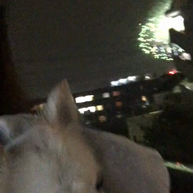 花火大会の画像