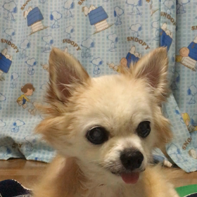 どっちの手に入ってるか！の画像