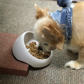 食欲あり。の画像