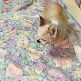 おかえりの画像