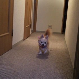 いつも通りがいいのね！の画像