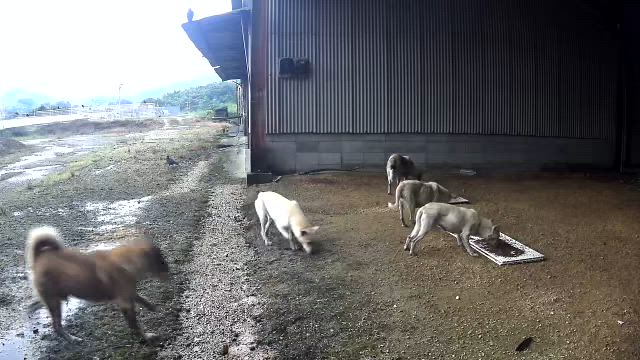 知って下さいの記事動画