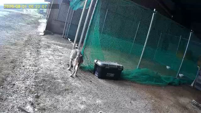 間に合った（ ;  ; ）の記事動画