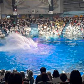 品川の水族館「アクアパーク」の画像