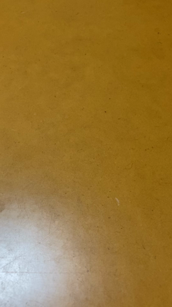 『おもちゃまつりの戦利品』の記事動画