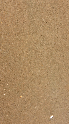 海辺の1日の記事動画