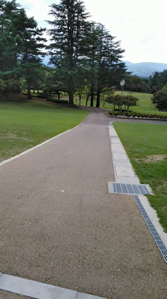 軽やかな火曜日の記事動画