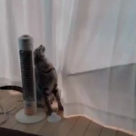 破壊神降臨の画像