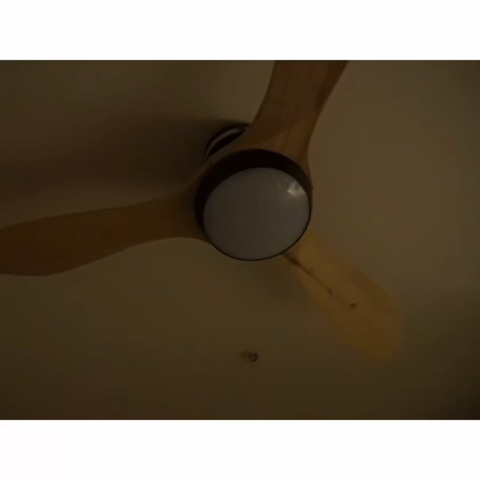 今の季節の快眠グッズの記事動画