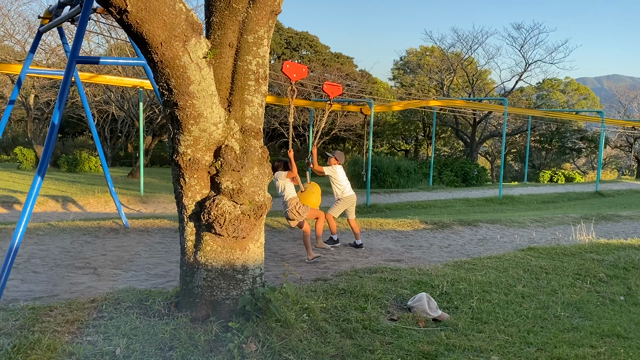 霧島ヶ丘公園（バラ公園）遊びに行ったよの記事動画