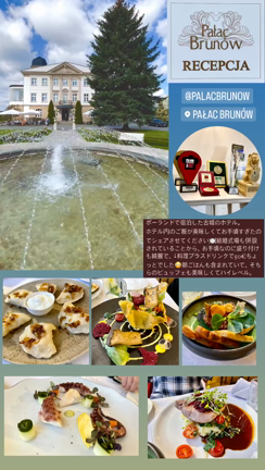 【爆買い記録】ポーランド初上陸！ポーランド食器の街・ボレスワヴィエツで爆買いの記事動画