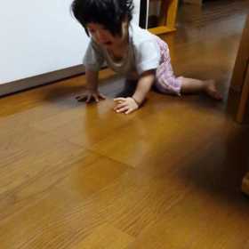 最近の画像