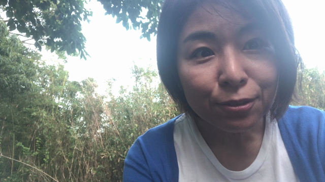 うぐいすの鳴き声の記事動画