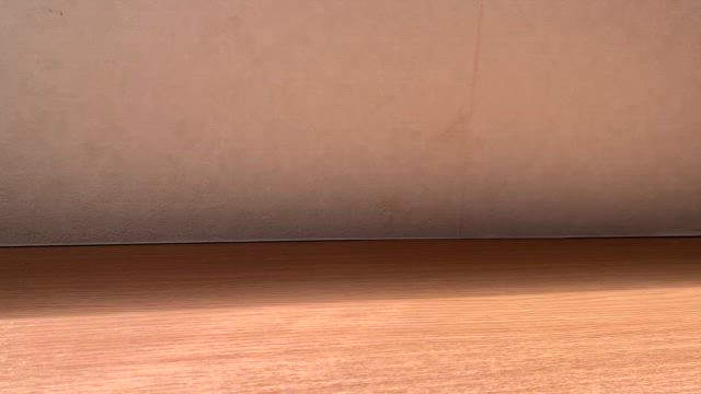 連休って美味しいの？の記事動画