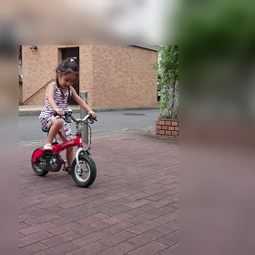 ヘンシンバイクの画像