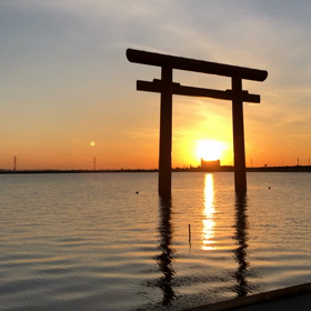 癒しの画像