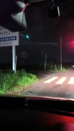 今年は花火の記事動画