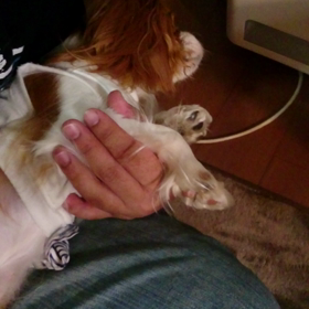 女優デビューの画像