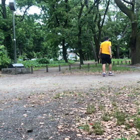 LINE動画レッスンの画像