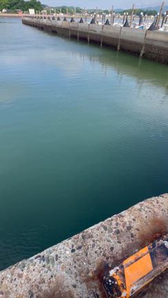 今日の釣果の記事動画