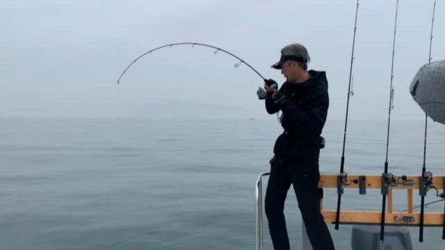 土曜日の釣果の記事動画