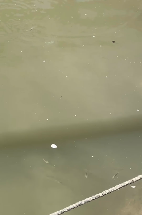工場・桟橋にての記事動画