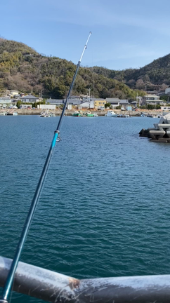 久々に魚釣りの記事動画