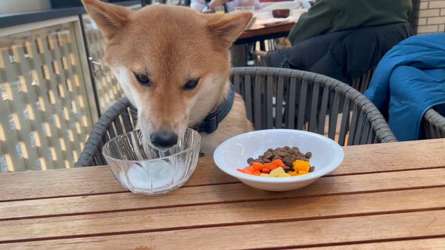 今年もよろしくお願いいたします✨の記事動画